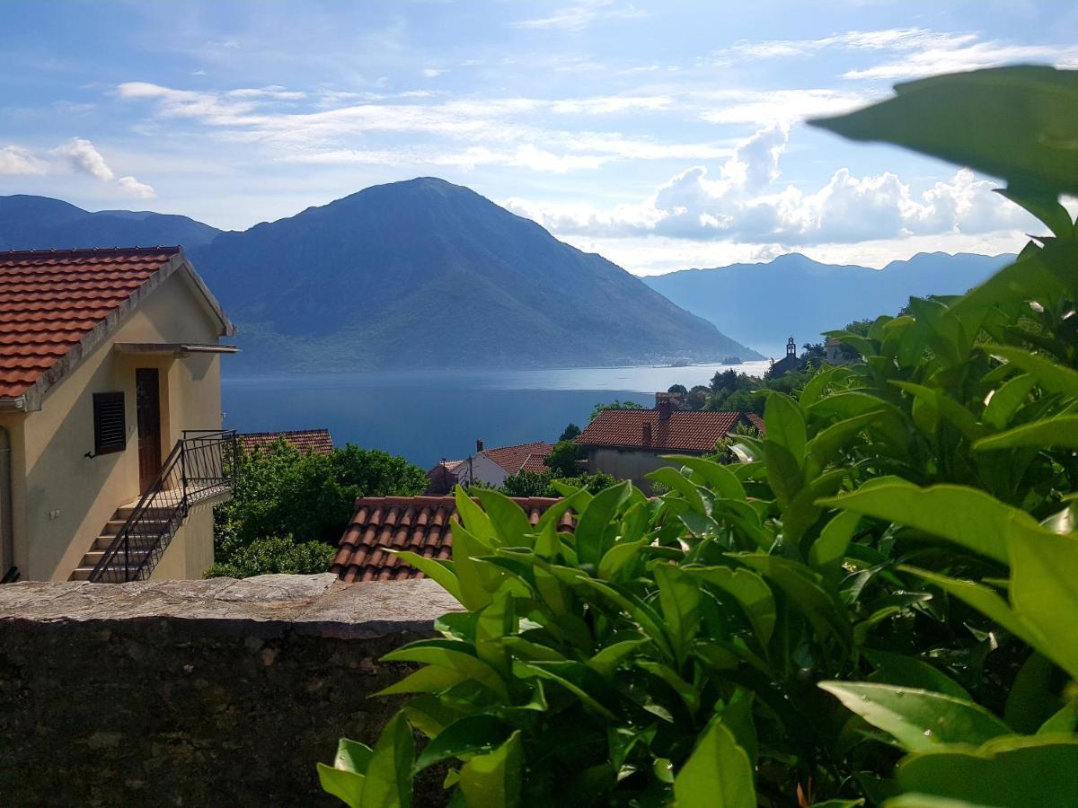 Guest House Maza Kotor Exterior photo