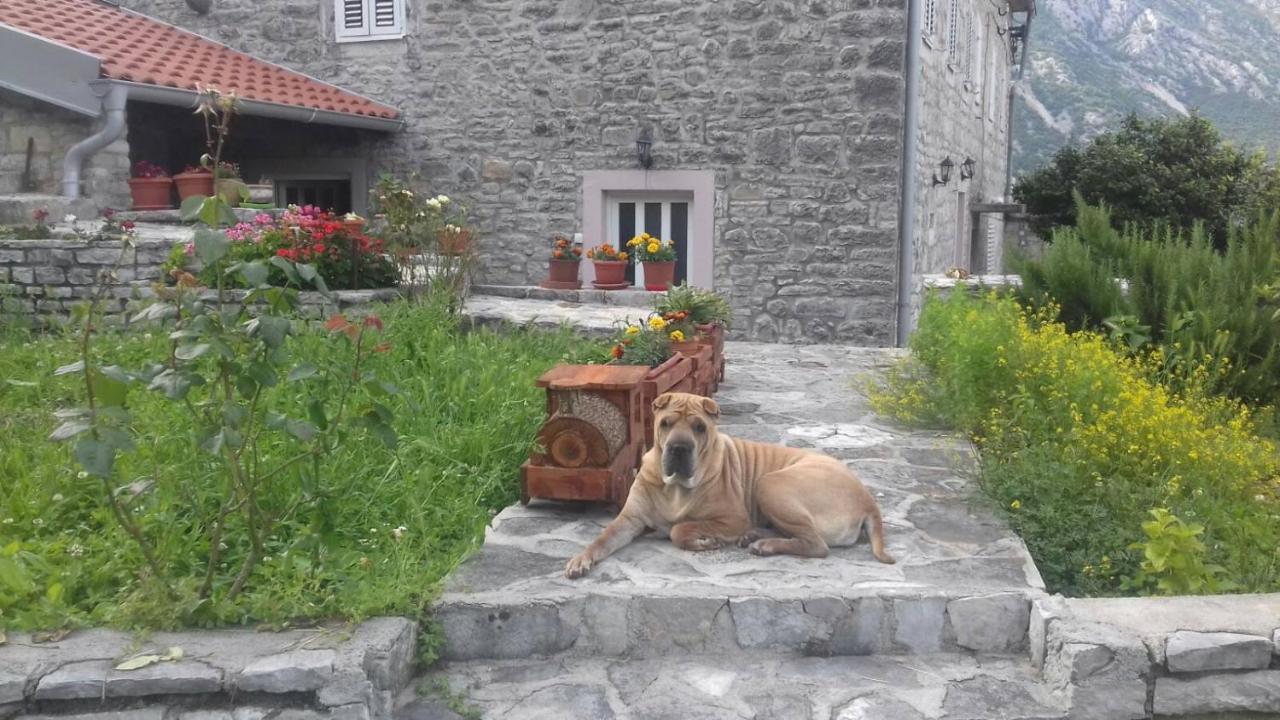 Guest House Maza Kotor Exterior photo