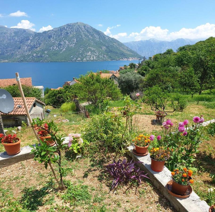 Guest House Maza Kotor Exterior photo