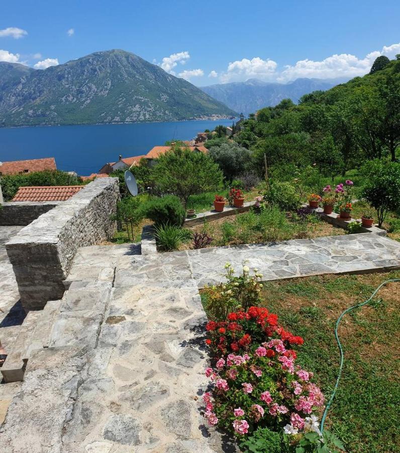 Guest House Maza Kotor Exterior photo