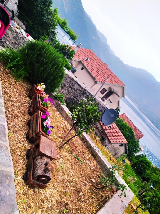Guest House Maza Kotor Exterior photo